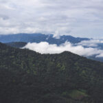 3D开奖结果15号最新公布,中奖号码全面揭晓 0m44gasdv