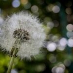 2014东营国际马拉松赛全程直播精彩回顾 5mbbizwj