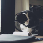 3d开奖结果082期历史开奖号码完整回顾 77ke34j