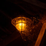 2014年NBA夏季联赛全程高清直播精彩对决 ckenj4o1