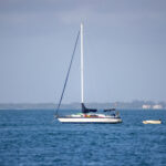 3d开奖结果146期精准预测与最新开奖号码查询 lw3y5