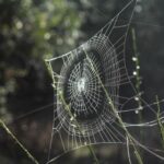 2014年排列五开奖号码完整历史记录查询 nkihur8i