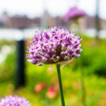 2014年双色球全年开奖号码完整历史记录 vbfk7lmy