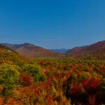 2014年国际马拉松赛事全程直播精彩回顾 w91xl1gi