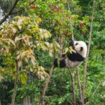 2014年全年福彩开奖号码完整历史记录汇总 wk5wc18k